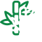 Grand Muscovado Sugar Cane Icon